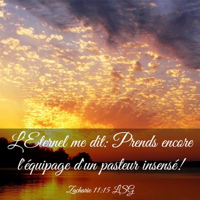 Picture 03 - Zacharie 11:15 LSG - L'Eternel me dit: Prends encore l'équipage d'un - Bible Verse Picture