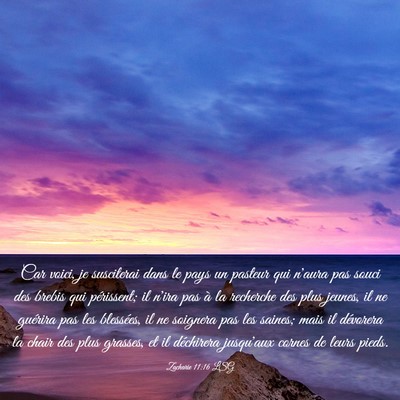 Picture 03 - Zacharie 11:16 LSG - Car voici, je susciterai dans le pays un pasteur - Bible Verse Picture