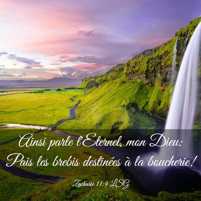 Picture 03 - Zacharie 11:4 LSG - Ainsi parle l'Eternel, mon Dieu: Pais les brebis - Bible Verse Picture
