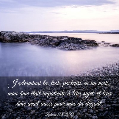 Picture 03 - Zacharie 11:8 LSG - J'exterminai les trois pasteurs en un mois; mon - Bible Verse Picture