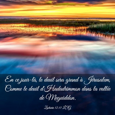 Picture 03 - Zacharie 12:11 LSG - En ce jour-là, le deuil sera grand à - Bible Verse Picture