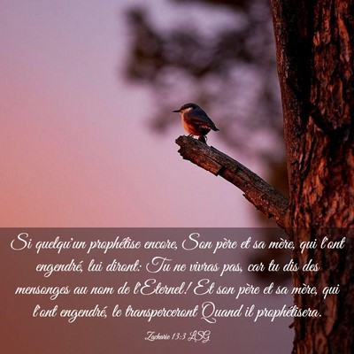 Picture 03 - Zacharie 13:3 LSG - Si quelqu'un prophétise encore, Son père et sa - Bible Verse Picture