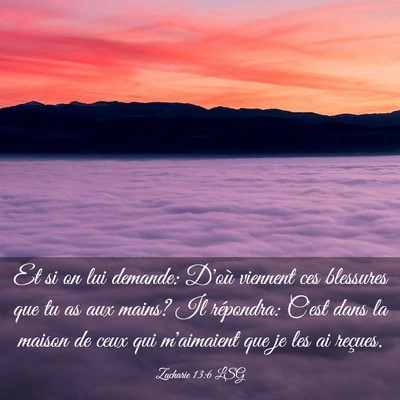 Picture 03 - Zacharie 13:6 LSG - Et si on lui demande: D'où viennent ces - Bible Verse Picture