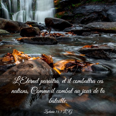 Picture 03 - Zacharie 14:3 LSG - L'Eternel paraîtra, et il combattra ces nations, - Bible Verse Picture