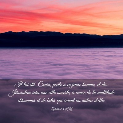 Picture 03 - Zacharie 2:4 LSG - Il lui dit: Cours, parle à ce jeune homme, et - Bible Verse Picture