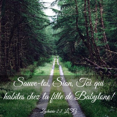 Picture 03 - Zacharie 2:7 LSG - Sauve-toi, Sion, Toi qui habites chez la fille de - Bible Verse Picture