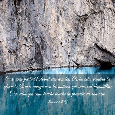 Picture 03 - Zacharie 2:8 LSG - Car ainsi parle l'Eternel des armées: Après - Bible Verse Picture