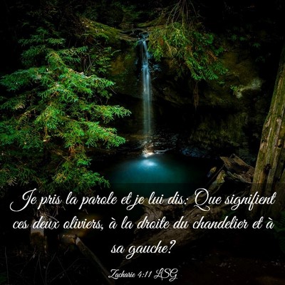 Picture 03 - Zacharie 4:11 LSG - Je pris la parole et je lui dis: Que signifient - Bible Verse Picture