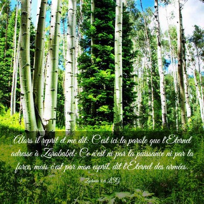 Picture 03 - Zacharie 4:6 LSG - Alors il reprit et me dit: C'est ici la parole - Bible Verse Picture