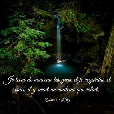 Picture 03 - Zacharie 5:1 LSG - Je levai de nouveau les yeux et je regardai, et - Bible Verse Picture