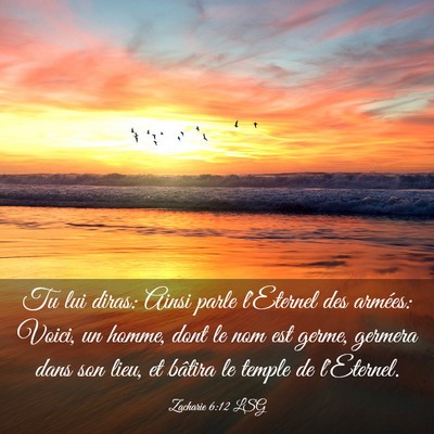 Picture 03 - Zacharie 6:12 LSG - Tu lui diras: Ainsi parle l'Eternel des armées: - Bible Verse Picture