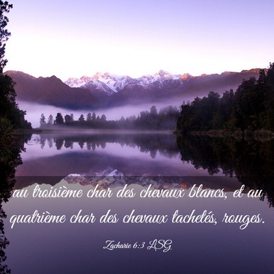 Picture 03 - Zacharie 6:3 LSG - au troisième char des chevaux blancs, et au - Bible Verse Picture