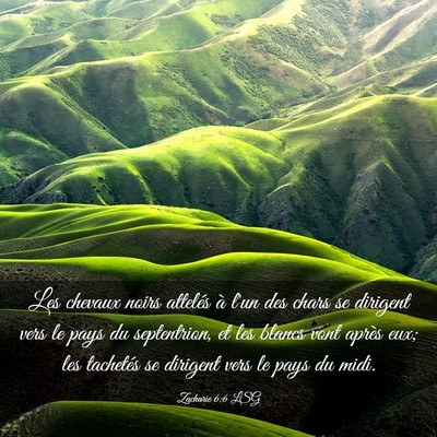 Picture 03 - Zacharie 6:6 LSG - Les chevaux noirs attelés à l'un des chars se - Bible Verse Picture