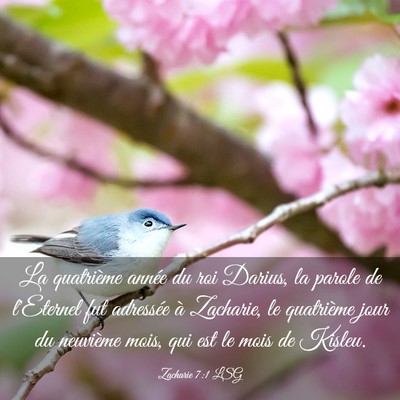 Picture 03 - Zacharie 7:1 LSG - La quatrième année du roi Darius, la parole de - Bible Verse Picture