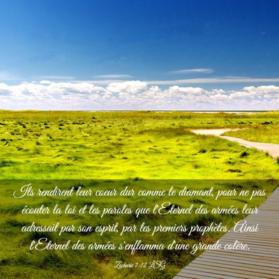 Picture 03 - Zacharie 7:12 LSG - Ils rendirent leur coeur dur comme le diamant, - Bible Verse Picture