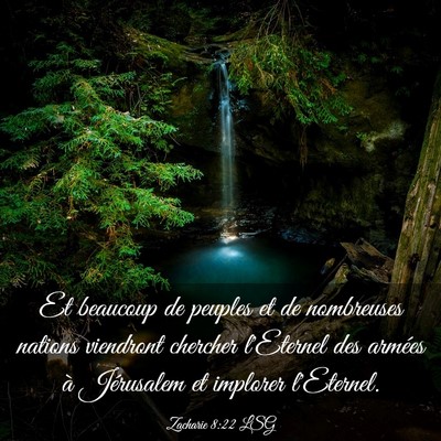 Picture 03 - Zacharie 8:22 LSG - Et beaucoup de peuples et de nombreuses nations - Bible Verse Picture