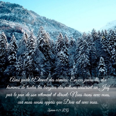 Picture 03 - Zacharie 8:23 LSG - Ainsi parle l'Eternel des armées: En ces - Bible Verse Picture
