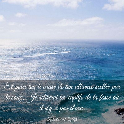 Picture 03 - Zacharie 9:11 LSG - Et pour toi, à cause de ton alliance scellée - Bible Verse Picture