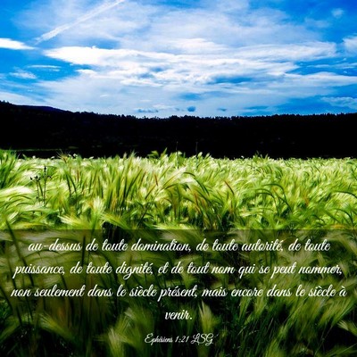 Picture 03 - Éphésiens 1:21 LSG - au-dessus de toute domination, de toute - Bible Verse Picture