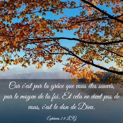 Picture 03 - Éphésiens 2:8 LSG - Car c'est par la grâce que vous êtes sauvés, - Bible Verse Picture