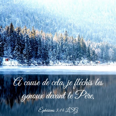 Picture 03 - Éphésiens 3:14 LSG - A cause de cela, je fléchis les genoux devant le - Bible Verse Picture