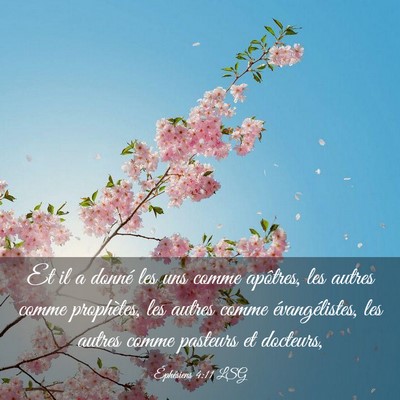 Picture 03 - Éphésiens 4:11 LSG - Et il a donné les uns comme apôtres, les autres - Bible Verse Picture