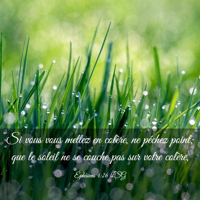 Picture 03 - Éphésiens 4:26 LSG - Si vous vous mettez en colère, ne péchez point; - Bible Verse Picture