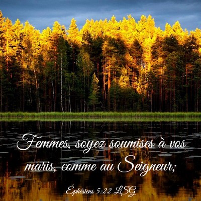 Picture 03 - Éphésiens 5:22 LSG - Femmes, soyez soumises à vos maris, comme au - Bible Verse Picture