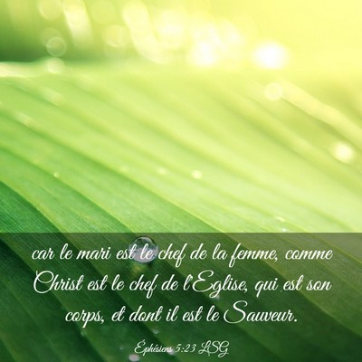 Picture 03 - Éphésiens 5:23 LSG - car le mari est le chef de la femme, comme Christ - Bible Verse Picture