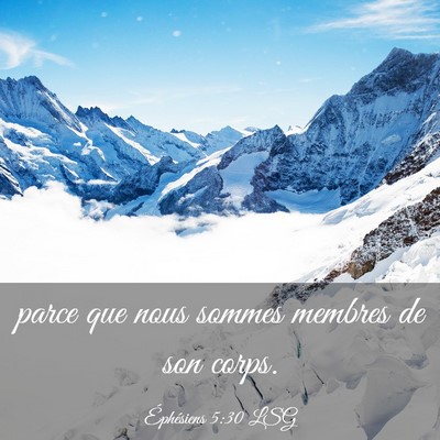 Picture 03 - Éphésiens 5:30 LSG - parce que nous sommes membres de son - Bible Verse Picture