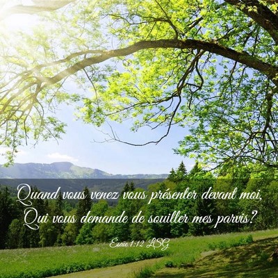 Picture 03 - Ésaïe 1:12 LSG - Quand vous venez vous présenter devant moi, Qui - Bible Verse Picture