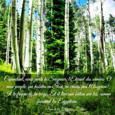 Picture 03 - Ésaïe 10:24 LSG - Cependant, ainsi parle le Seigneur, l'Eternel des - Bible Verse Picture