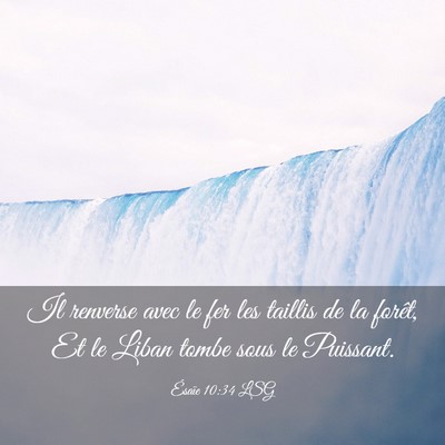 Picture 03 - Ésaïe 10:34 LSG - Il renverse avec le fer les taillis de la forêt, - Bible Verse Picture