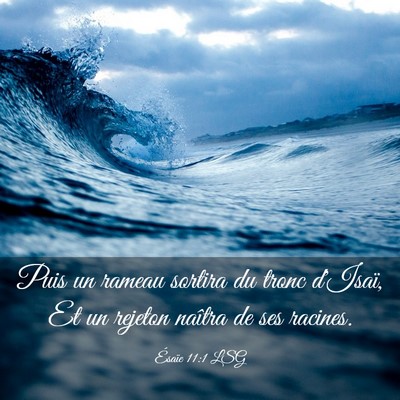 Picture 03 - Ésaïe 11:1 LSG - Puis un rameau sortira du tronc d'Isaï, Et un - Bible Verse Picture