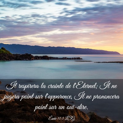 Picture 03 - Ésaïe 11:3 LSG - Il respirera la crainte de l'Eternel; Il ne - Bible Verse Picture