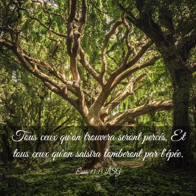 Picture 03 - Ésaïe 13:15 LSG - Tous ceux qu'on trouvera seront percés, Et tous - Bible Verse Picture