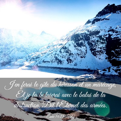 Picture 03 - Ésaïe 14:23 LSG - J'en ferai le gîte du hérisson et un marécage, - Bible Verse Picture