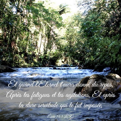 Picture 03 - Ésaïe 14:3 LSG - Et quand l'Eternel t'aura donné du repos, Après - Bible Verse Picture