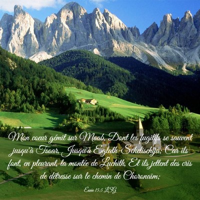 Picture 03 - Ésaïe 15:5 LSG - Mon coeur gémit sur Moab, Dont les fugitifs se - Bible Verse Picture