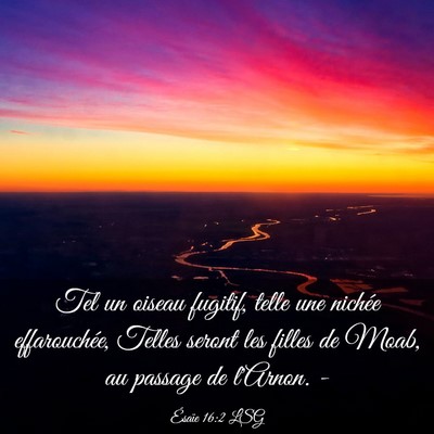 Picture 03 - Ésaïe 16:2 LSG - Tel un oiseau fugitif, telle une nichée - Bible Verse Picture