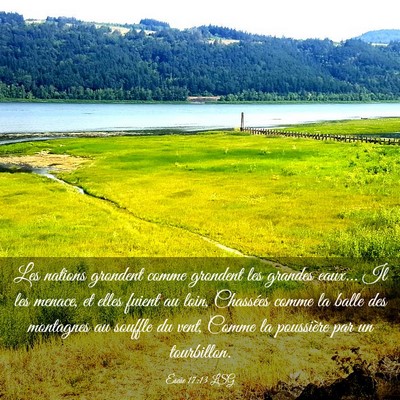 Picture 03 - Ésaïe 17:13 LSG - Les nations grondent comme grondent les grandes - Bible Verse Picture