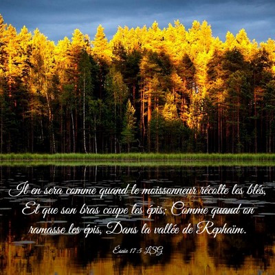 Picture 03 - Ésaïe 17:5 LSG - Il en sera comme quand le moissonneur récolte - Bible Verse Picture