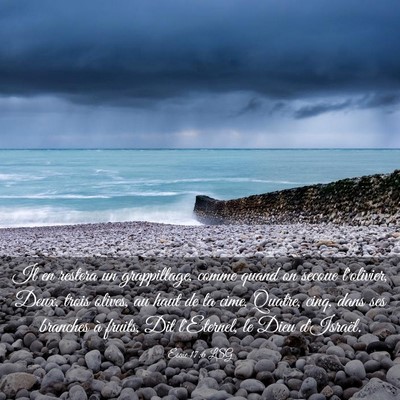 Picture 03 - Ésaïe 17:6 LSG - Il en restera un grappillage, comme quand on - Bible Verse Picture
