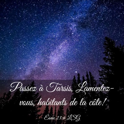 Picture 03 - Ésaïe 23:6 LSG - Passez à Tarsis, Lamentez-vous, habitants de la - Bible Verse Picture