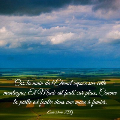 Picture 03 - Ésaïe 25:10 LSG - Car la main de l'Eternel repose sur cette - Bible Verse Picture