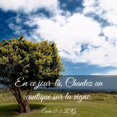 Picture 03 - Ésaïe 27:2 LSG - En ce jour-là, Chantez un cantique sur la - Bible Verse Picture