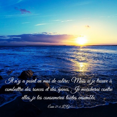 Picture 03 - Ésaïe 27:4 LSG - Il n'y a point en moi de colère; Mais si je - Bible Verse Picture
