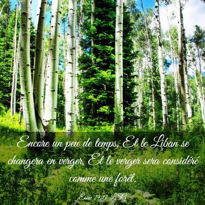 Picture 03 - Ésaïe 29:17 LSG - Encore un peu de temps, Et le Liban se changera - Bible Verse Picture