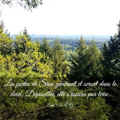 Picture 03 - Ésaïe 3:26 LSG - Les portes de Sion gémiront et seront dans le - Bible Verse Picture