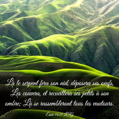 Picture 03 - Ésaïe 34:15 LSG - Là le serpent fera son nid, déposera ses oeufs, - Bible Verse Picture